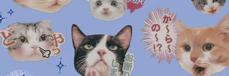 sweetmalikz's profile banner image