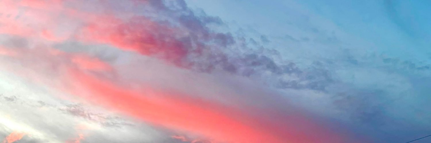 AlessiaGarza's profile banner image