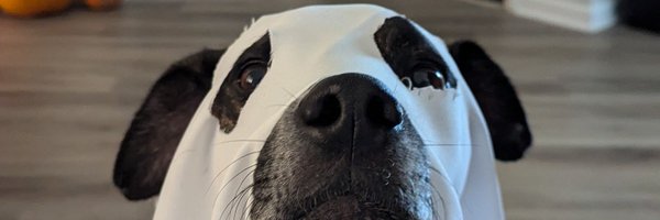 Paul_Witwer Profile Banner