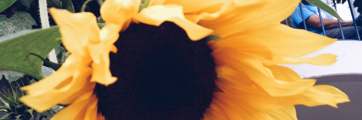 argi_13's profile banner image