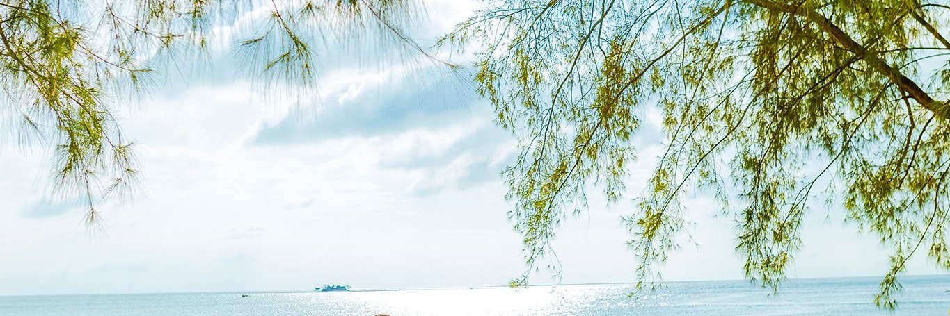 Ariel Carvalho banner