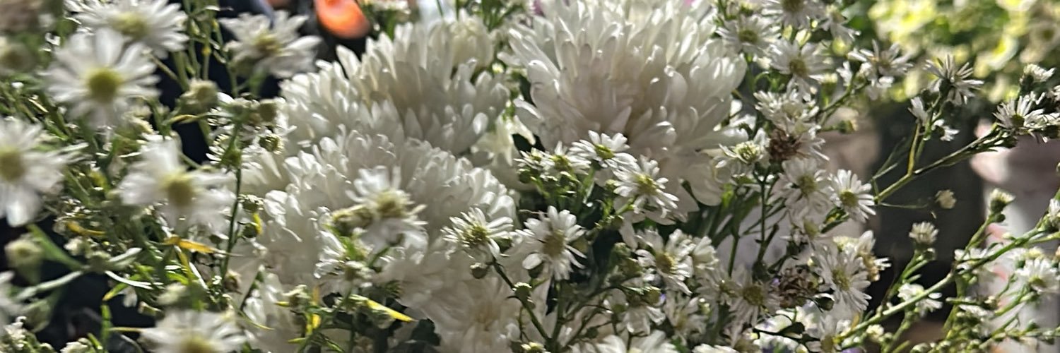 szcolourx's profile banner image