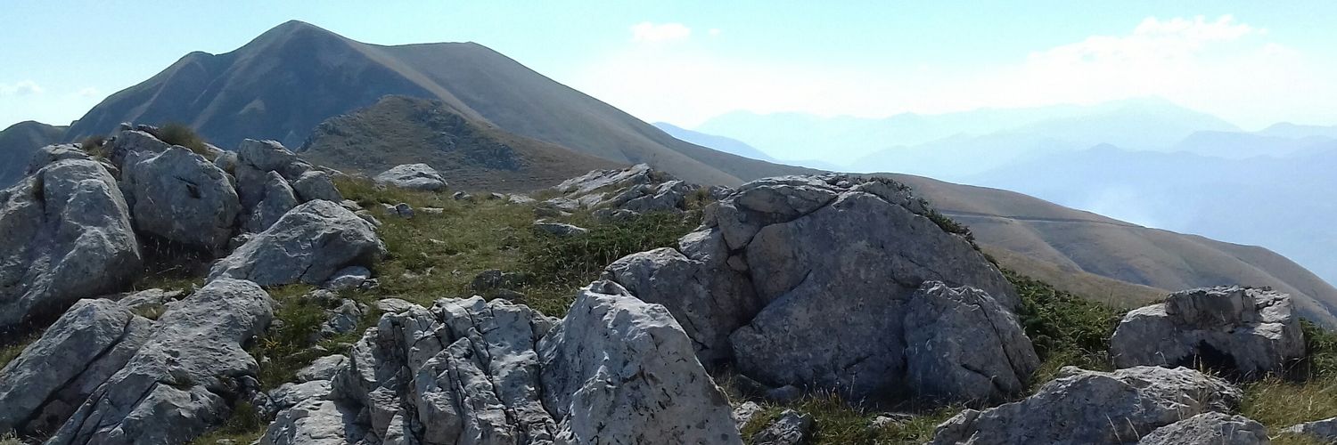 rosaria_salv's profile banner image