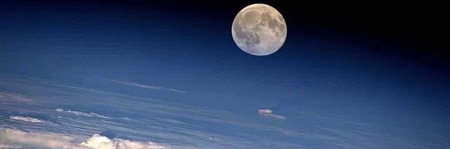 AfrqueDuSud's profile banner image