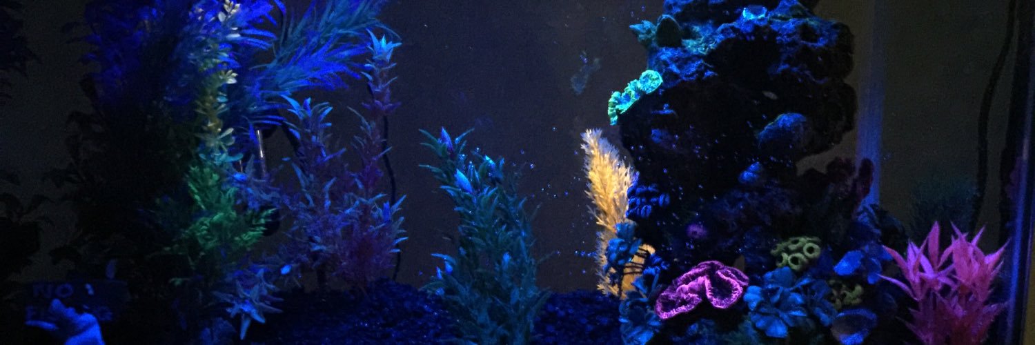 Nickwest43's profile banner image