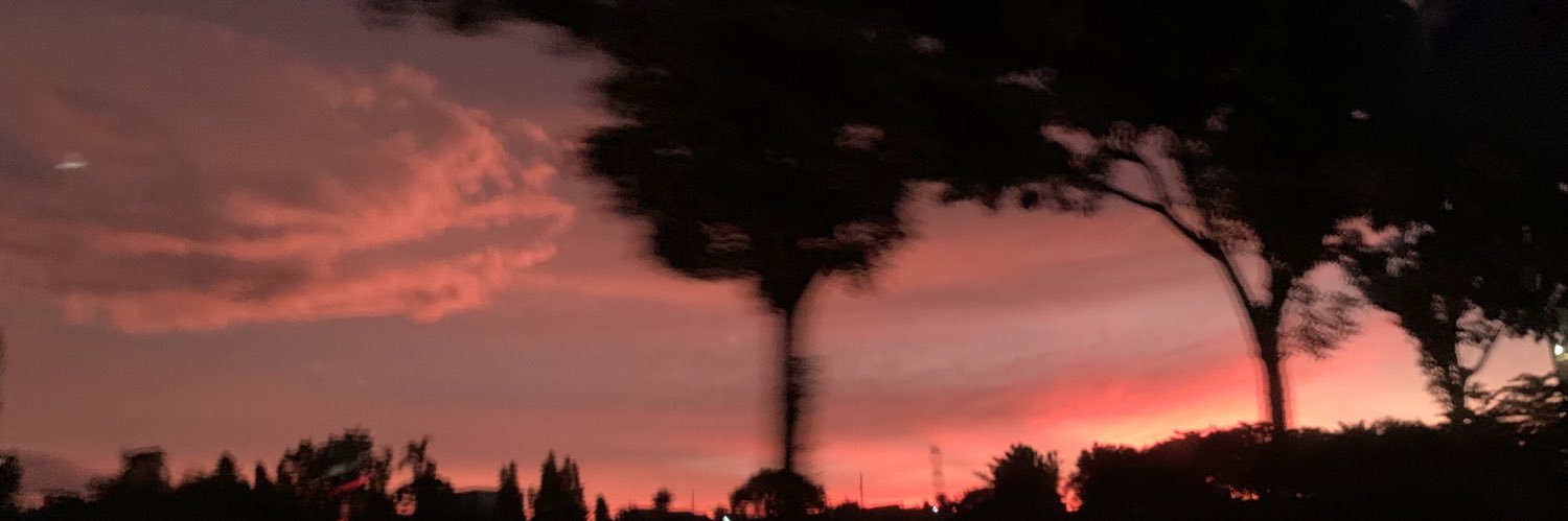 bibelism's profile banner image
