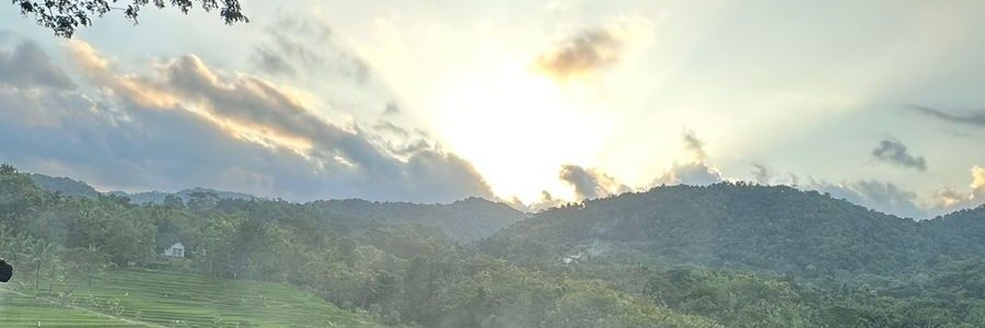 andiniwld's profile banner image