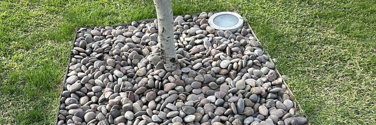 Dr. Maina Naibei PhD banner