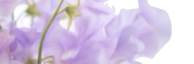LDH__1412's profile banner image