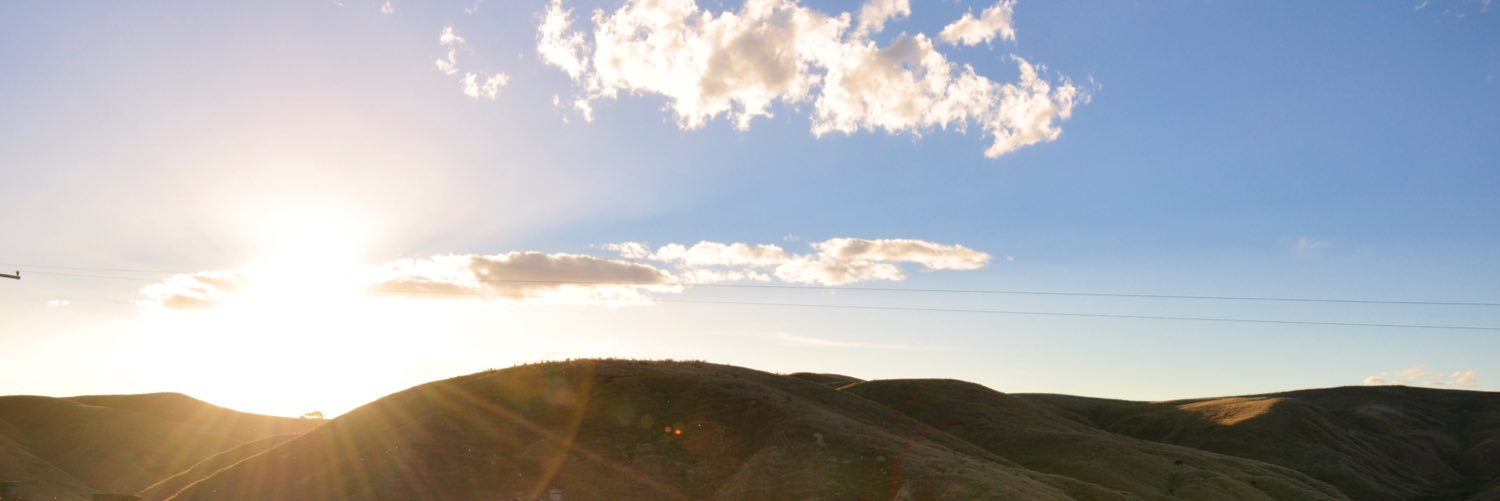 Björn banner
