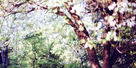 jenyoncom's profile banner image
