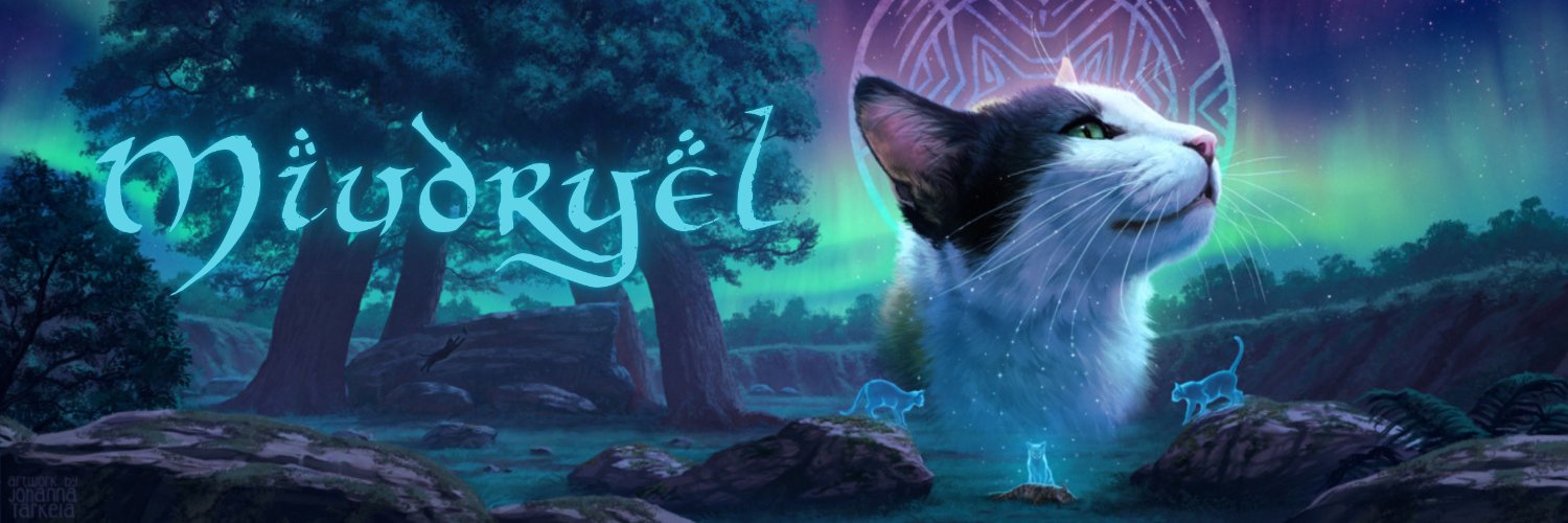 miudryel's profile banner image