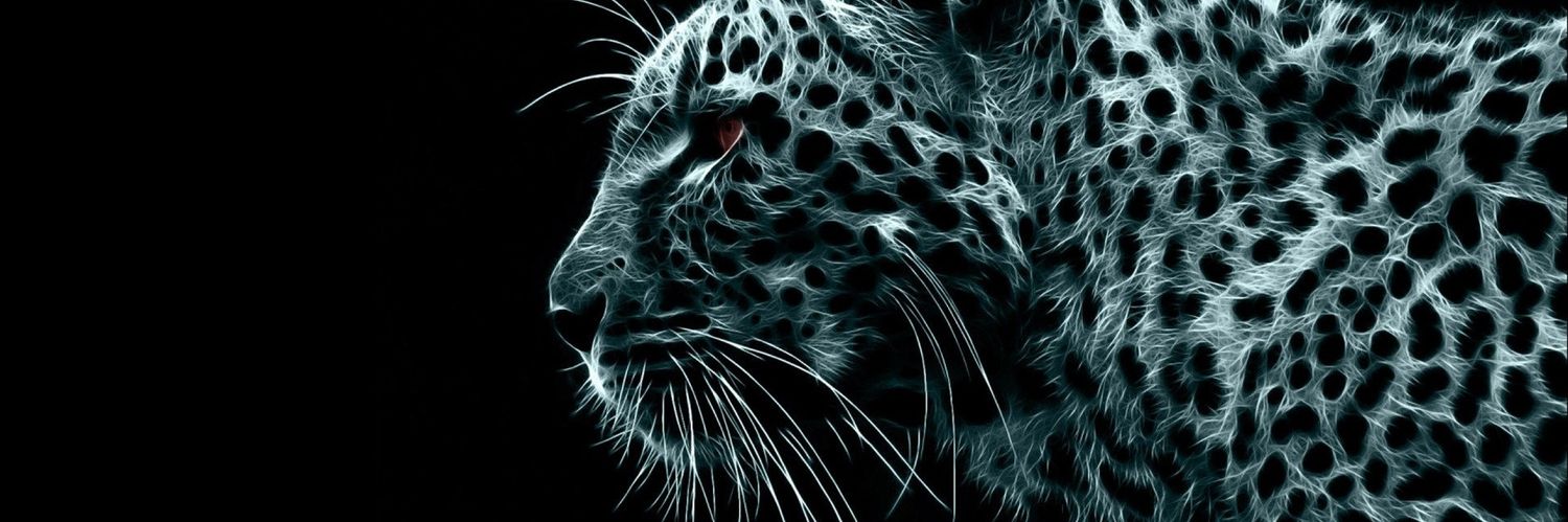 EnzoDell__'s profile banner image