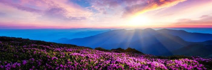 Dibyashapriyad2's profile banner image