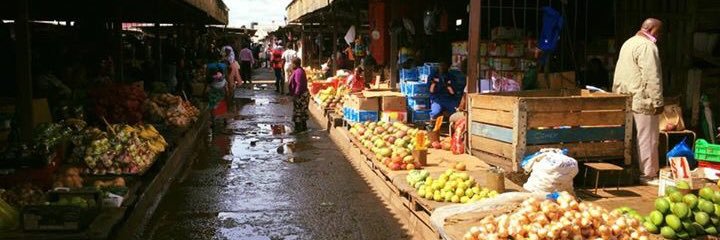 Hivos Impact Invest banner