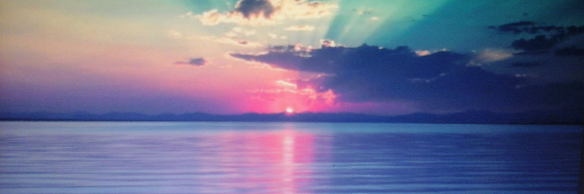 Tammy Darnell banner