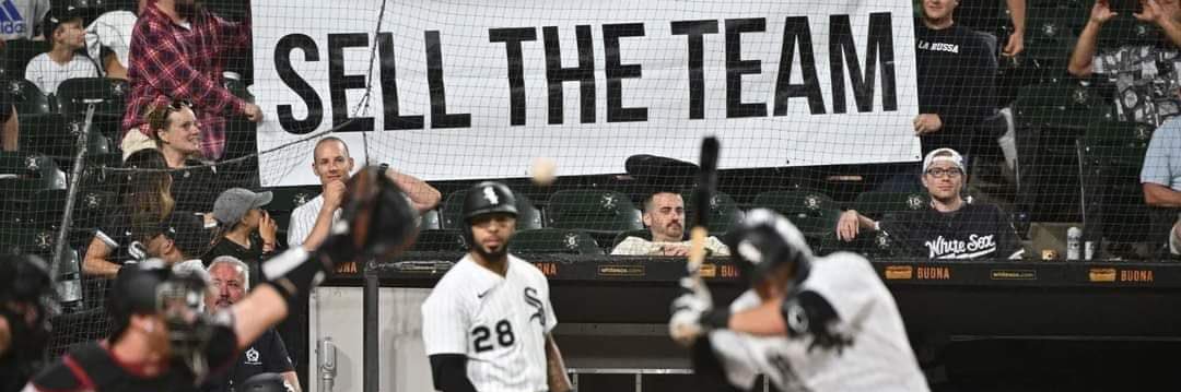 Alex Bishop banner
