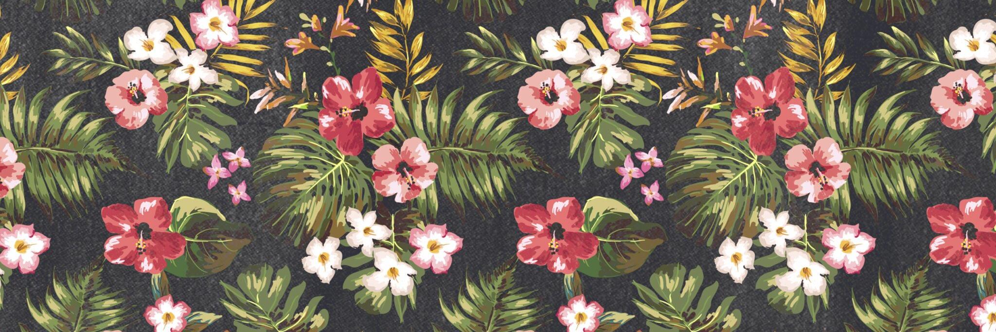 AiluFree's profile banner image