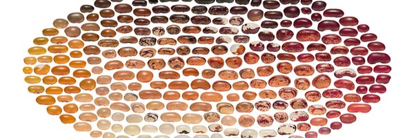 LegumeInfo Profile Banner