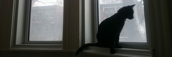 adrian_galdran Profile Banner