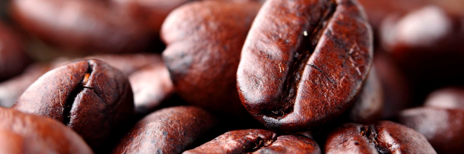 beanbasticoffee's profile banner image