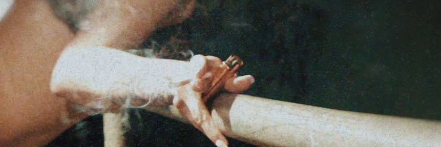 Ally_bearr_'s profile banner image