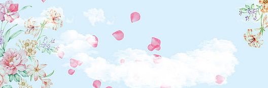 Lillie banner