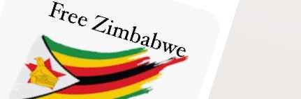 RedHibiscus 🌺 banner