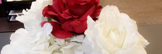 LaceyAnne44's profile banner image