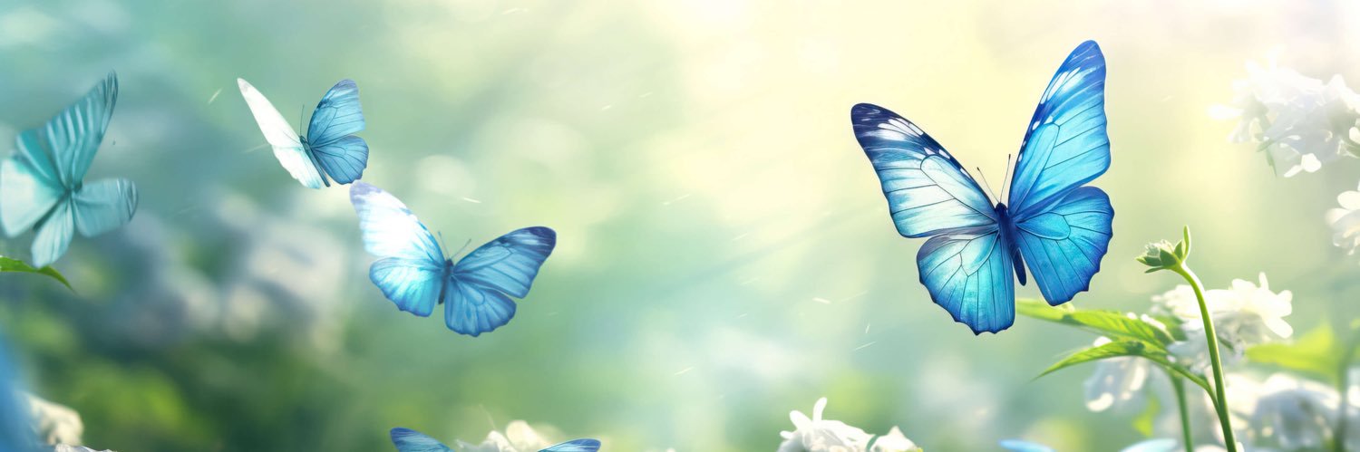 🦋 banner