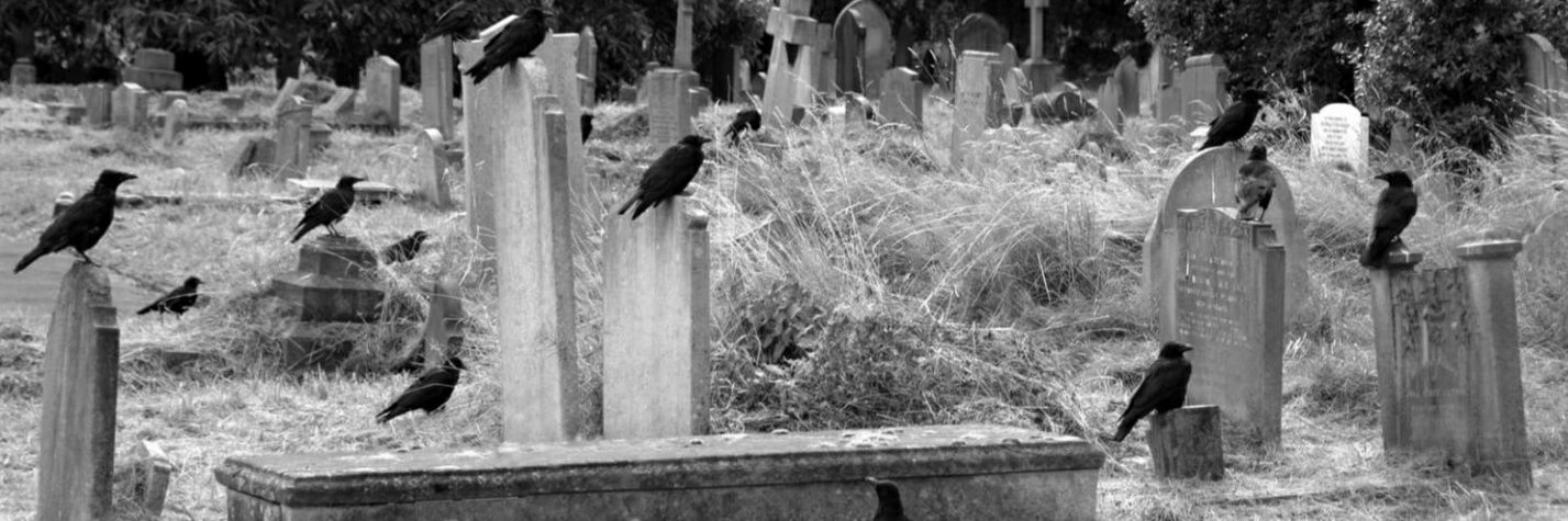 goth1645's profile banner image