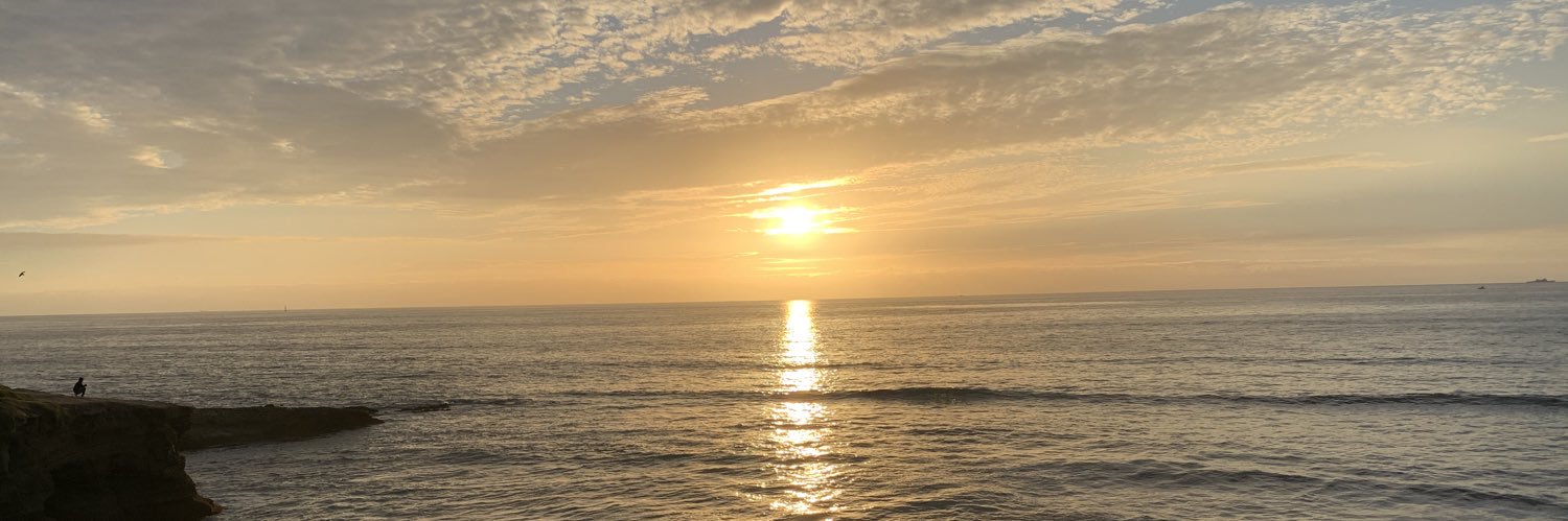 Andrea Rodebaugh banner