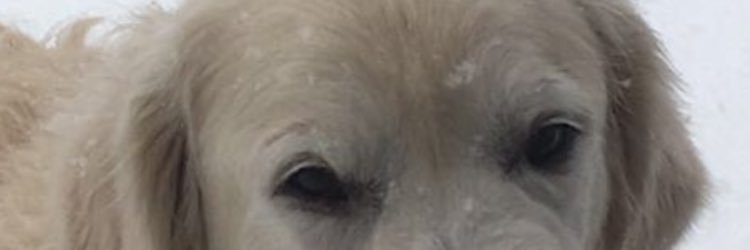 EmilioCullar1's profile banner image