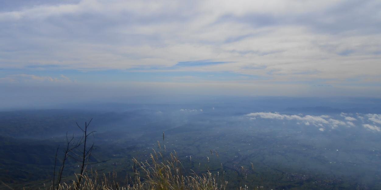 jokowibo's profile banner image