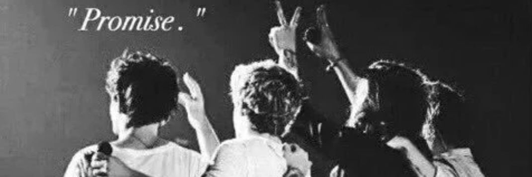 OneD_Polls_'s profile banner image