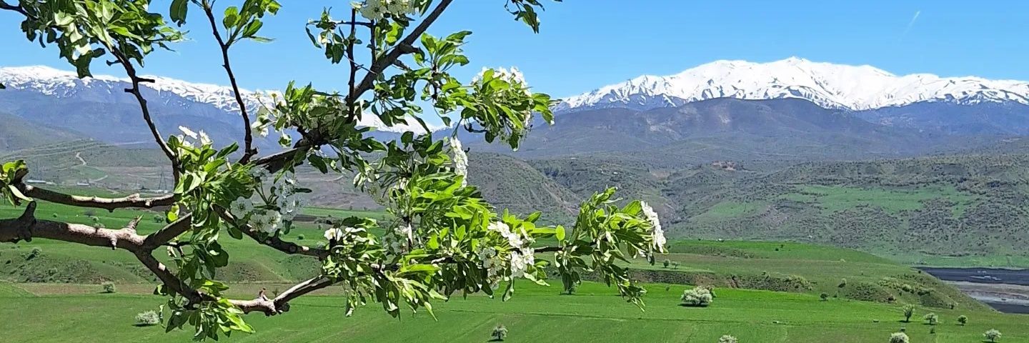 kemalbatur's profile banner image