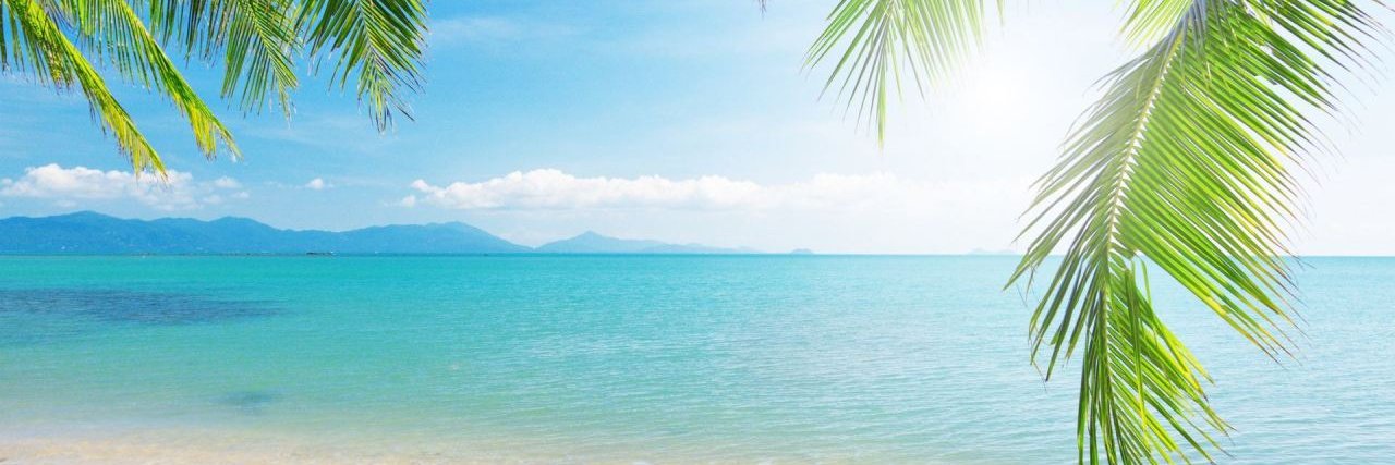 limitlesslifeco's profile banner image