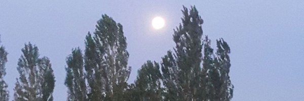 Tofigh_q Profile Banner
