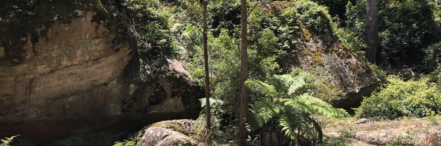 PattacakeK's profile banner image