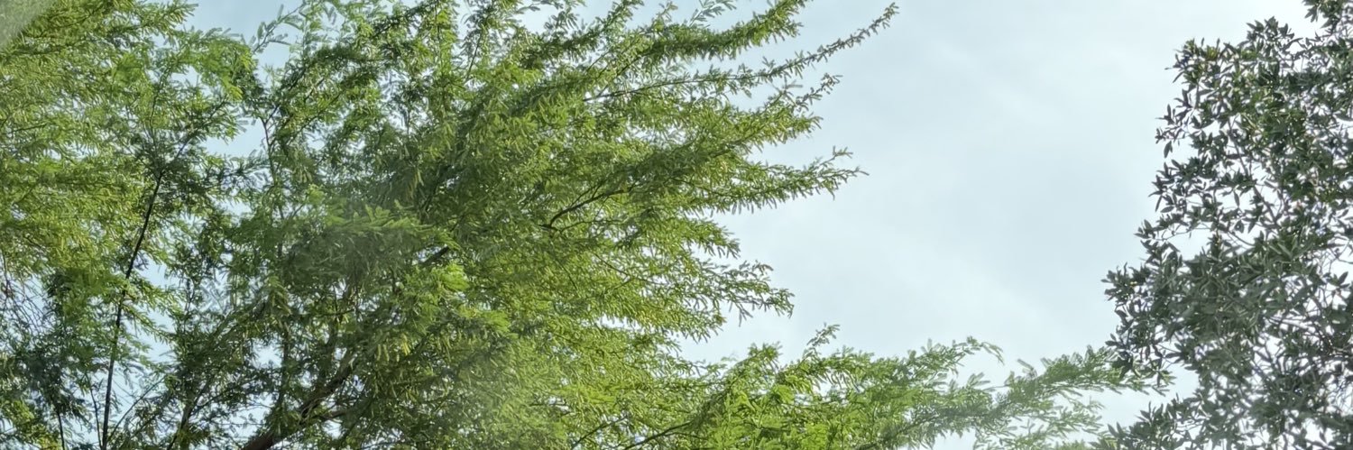 3_36pm's profile banner image