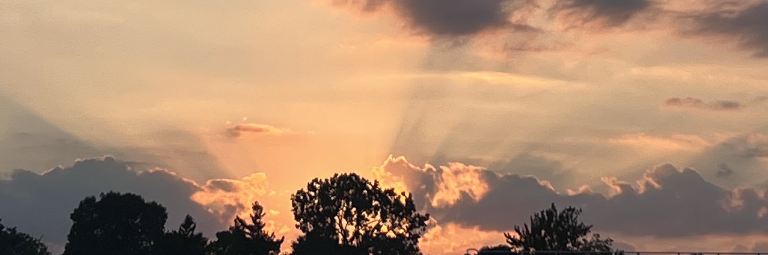 Pxrkums's profile banner image