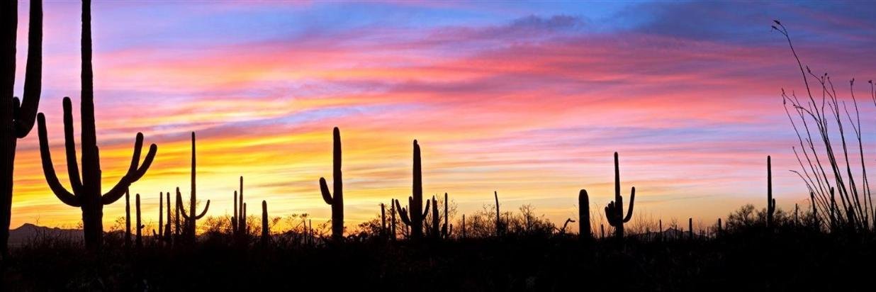 Lisa Phillips 💉 💉 💉 💉 💉 💉 banner