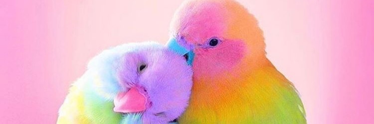 HeyIts_Cassy's profile banner image