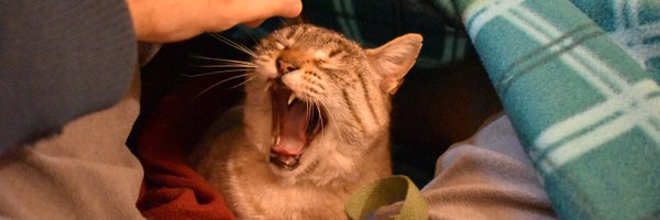 richard_vogg Profile Banner