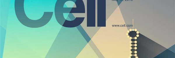 Art4Science Profile Banner