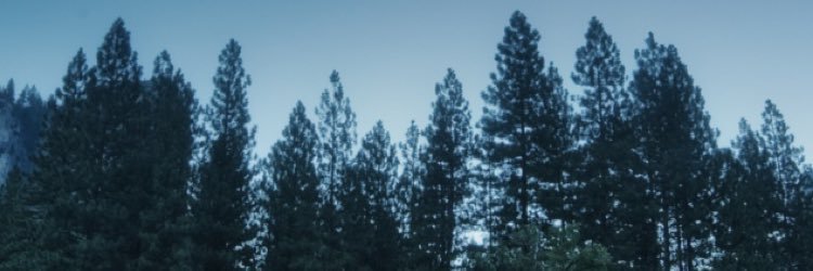 _kay_smith's profile banner image