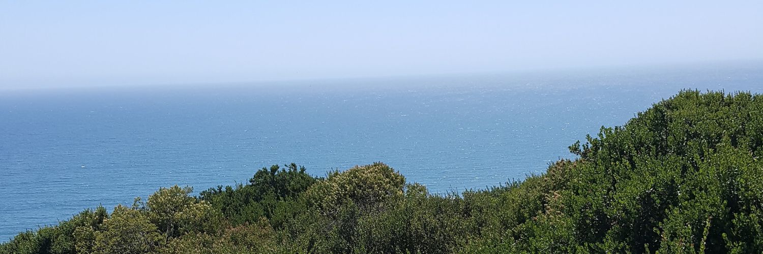 Helen Poznanski banner