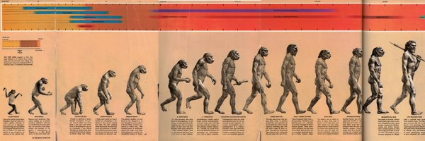 luis_quevedo Profile Banner