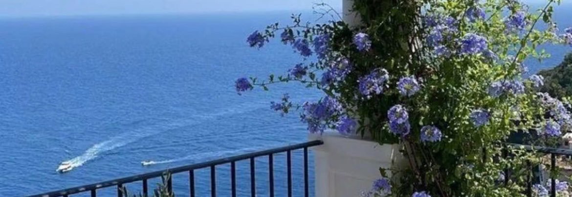 stacyvoonfx's profile banner image