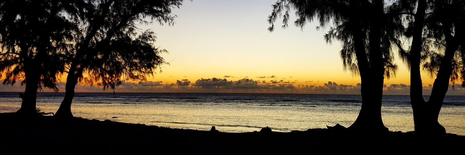 Big Jay 👊🏻👊🏼👊🏽👊🏾👊🏿 banner